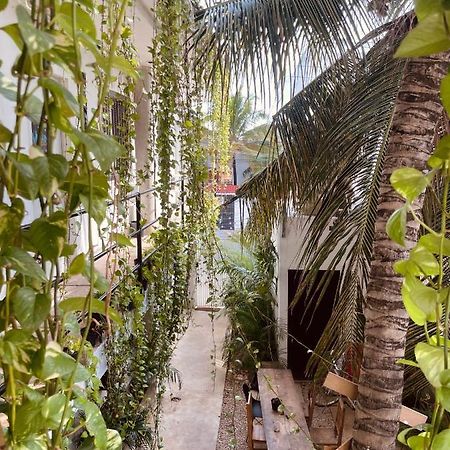 Anana Coliving Hotel Playa del Carmen Kültér fotó