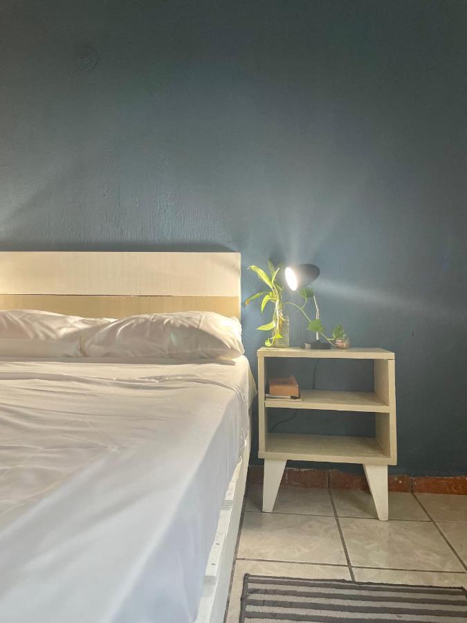 Anana Coliving Hotel Playa del Carmen Kültér fotó