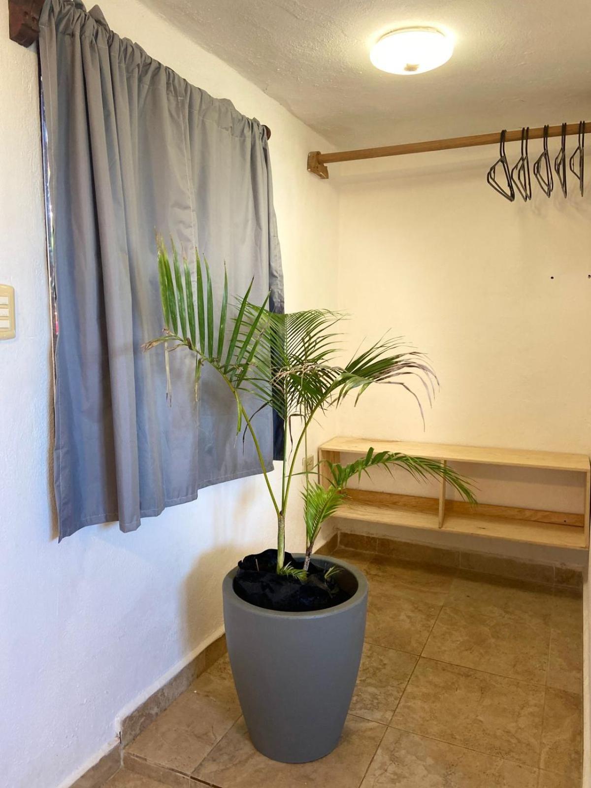 Anana Coliving Hotel Playa del Carmen Kültér fotó