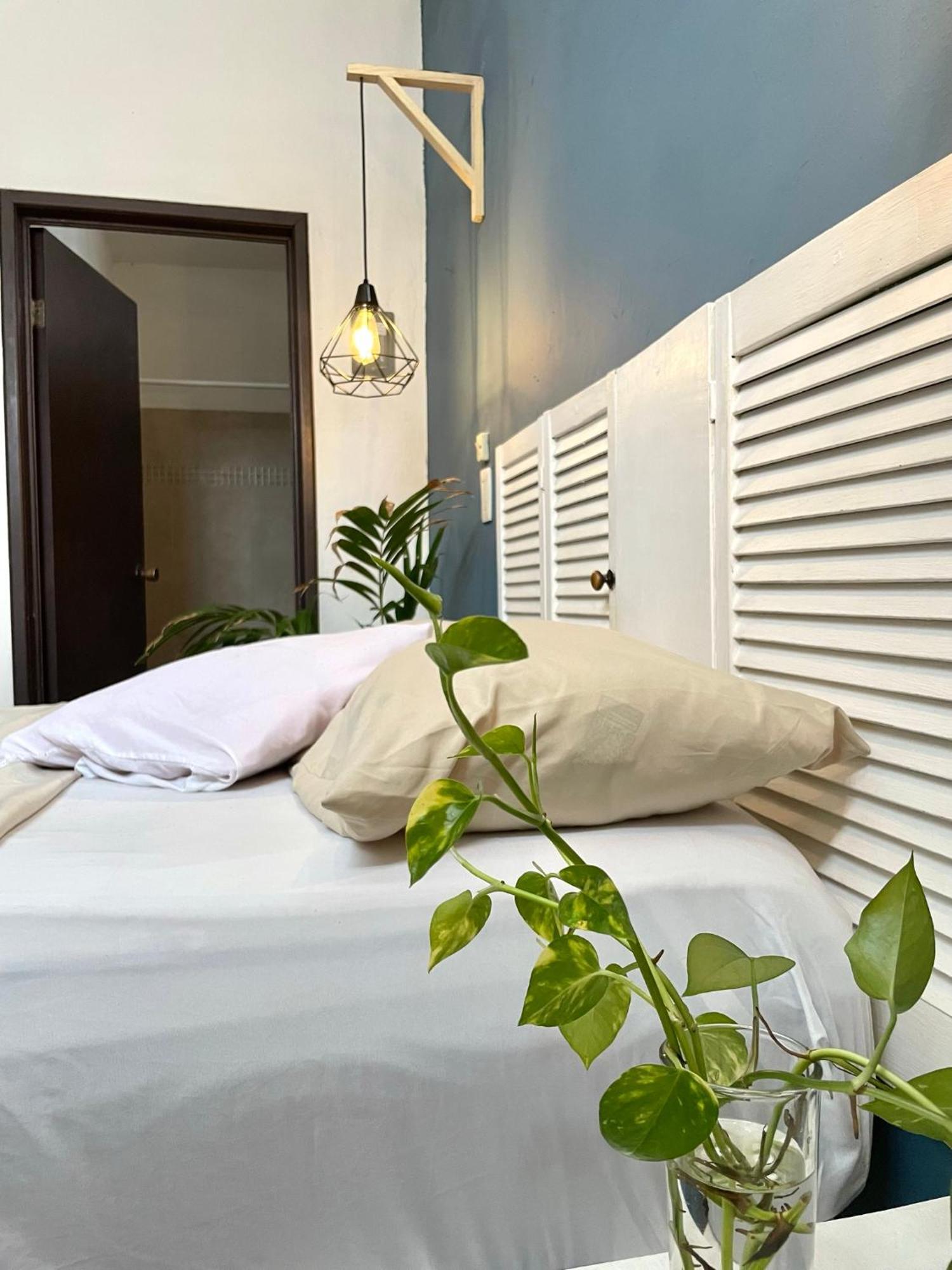 Anana Coliving Hotel Playa del Carmen Kültér fotó